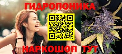 каннабис Кингисепп