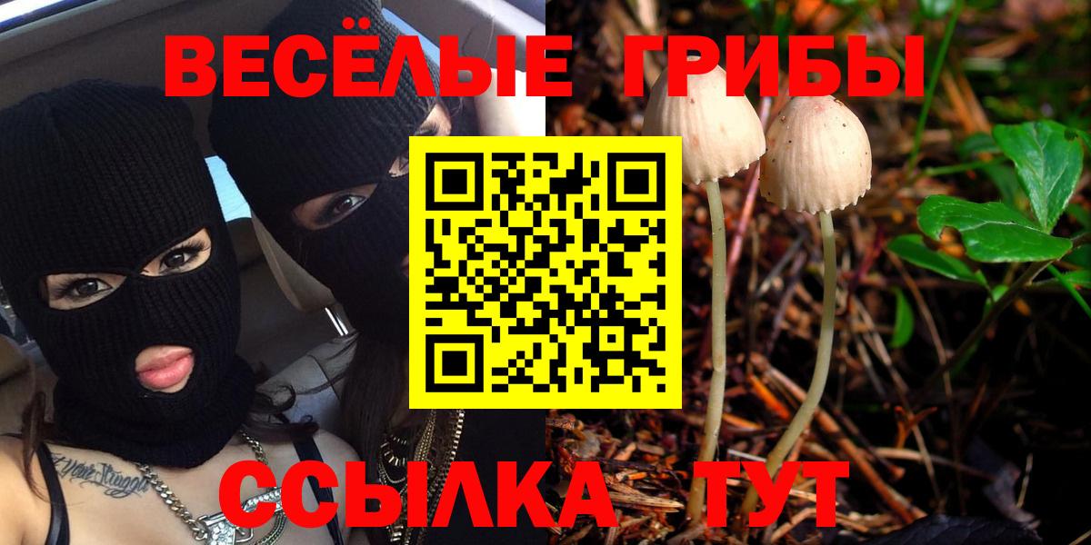 Галлюциногенные грибы прущие грибы Кудымкар