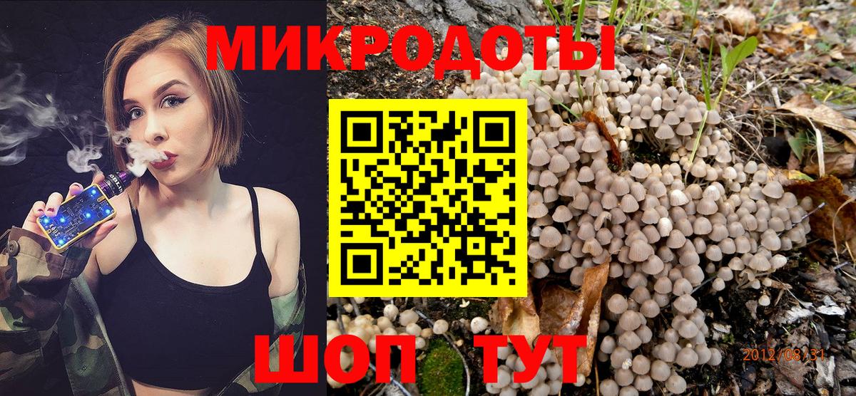 Кудымкар  Галлюциногенные грибы Psilocybe  Вход с VPN  Галлюциногенные грибы Psilocybe 